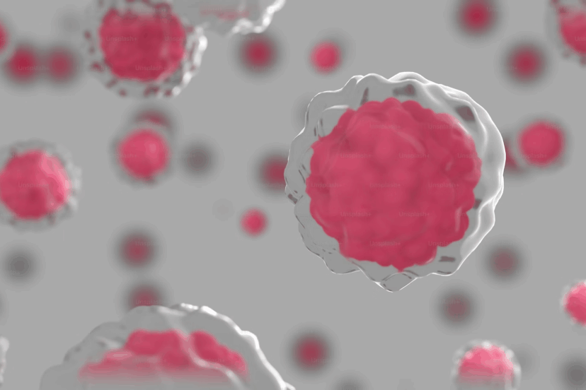 5G and the Human Body