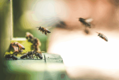 5G and Environmental Impact