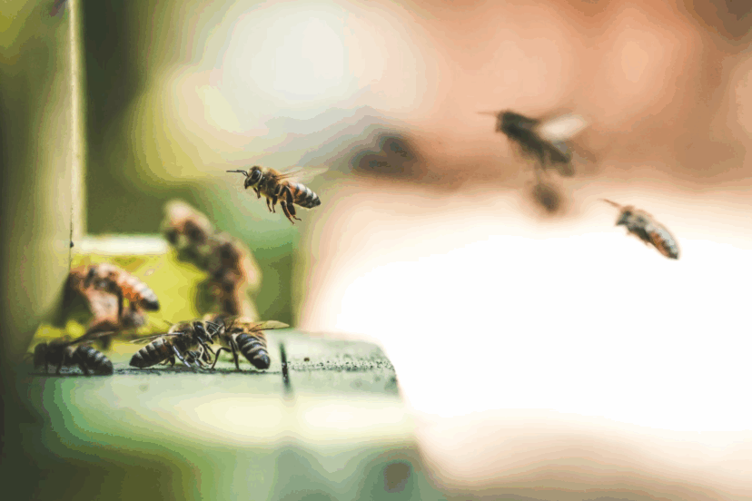 5G and Environmental Impact