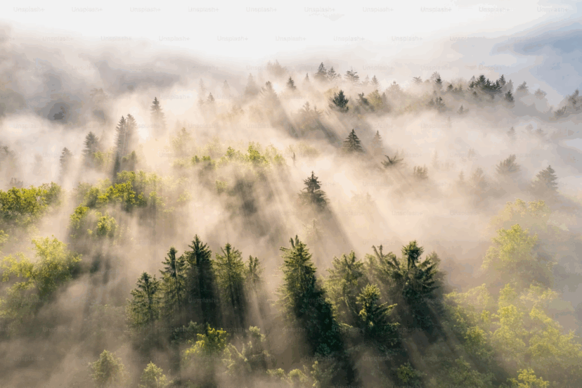 Environmental Impact of 5G