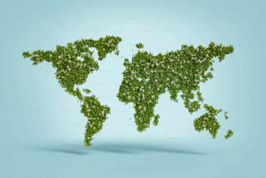 5G Harms the Environment