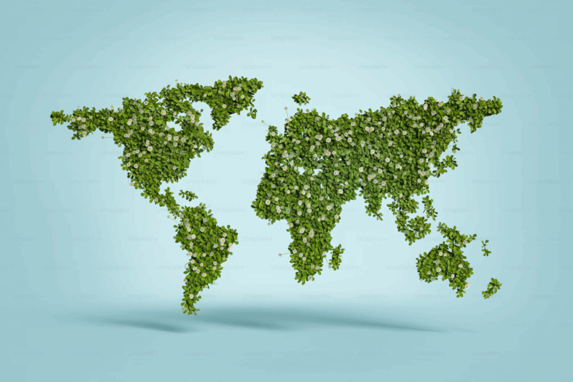 5G Harms the Environment