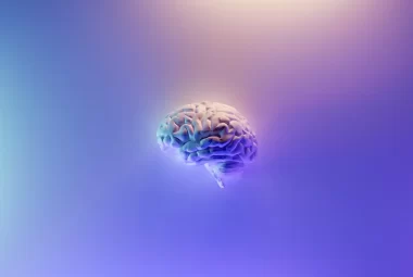 Emf Effects on the brain